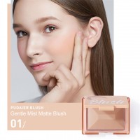 #4013#  9 Colors Cheek Matte Blush Natural Compact Powder Blusher Makeup For Cheek+Lip+Eyeshadow Private Label Custom Logo OEM