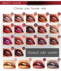 21 Colors Matte Long Lasting Waterproof Lip Gloss Liquid Lipstick