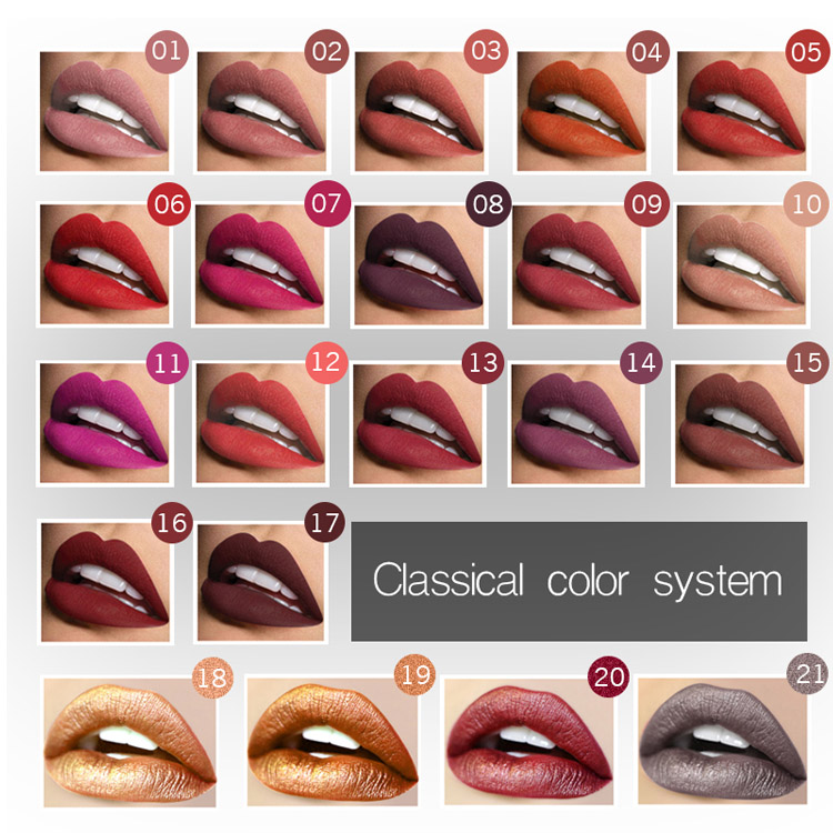 21 Colors Matte Long Lasting Waterproof Lip Gloss Liquid Lipstick